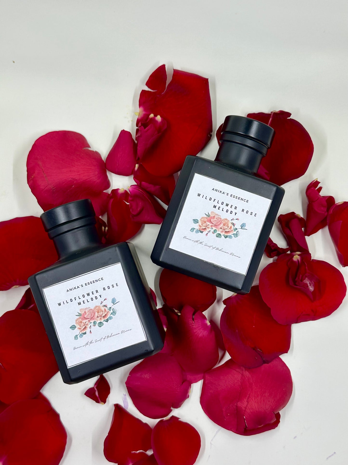 WILDFLOWER ROSE
MELODY
